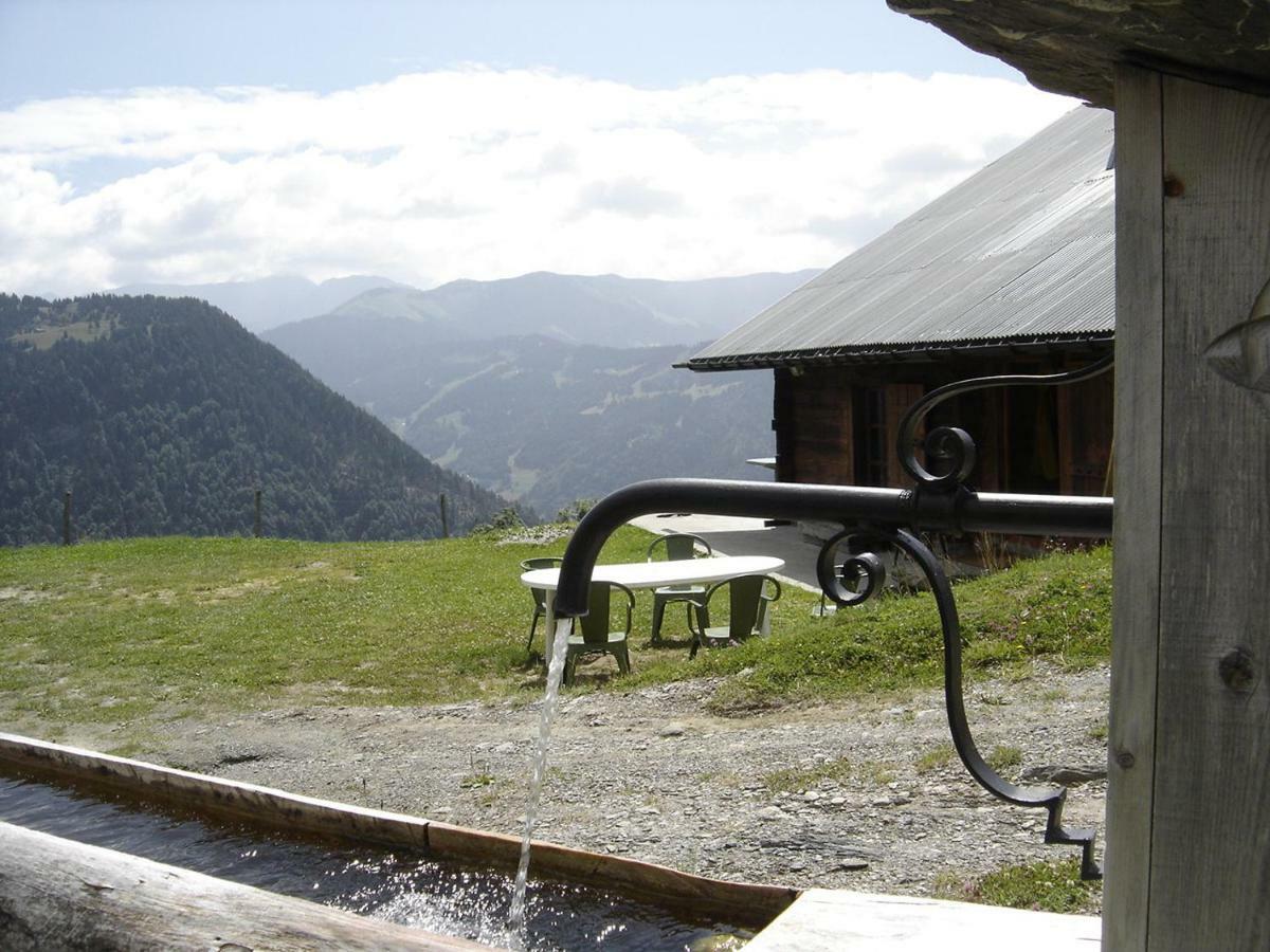 Reine Des Aravis - Chalet Isole 弗吕梅 外观 照片