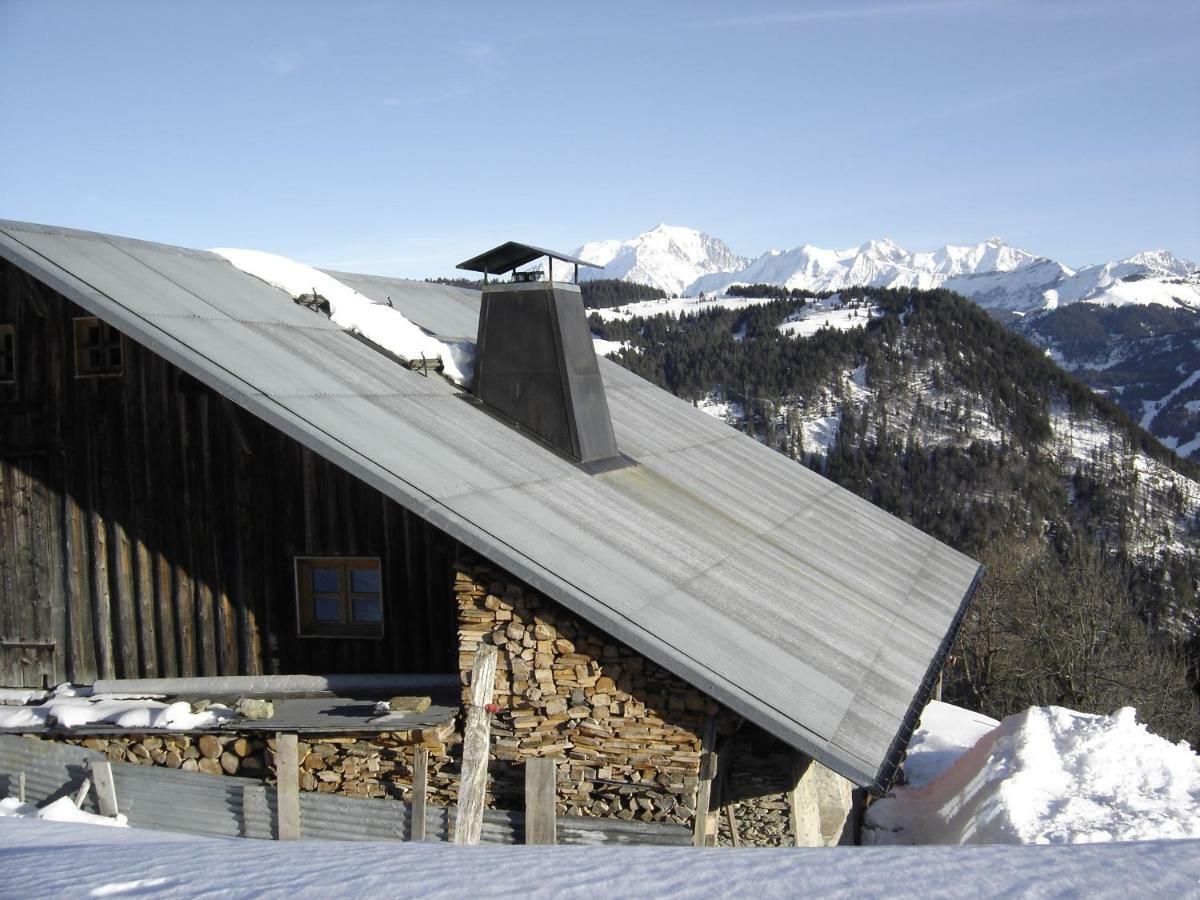 Reine Des Aravis - Chalet Isole 弗吕梅 外观 照片