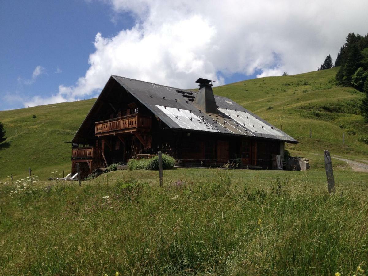 Reine Des Aravis - Chalet Isole 弗吕梅 外观 照片
