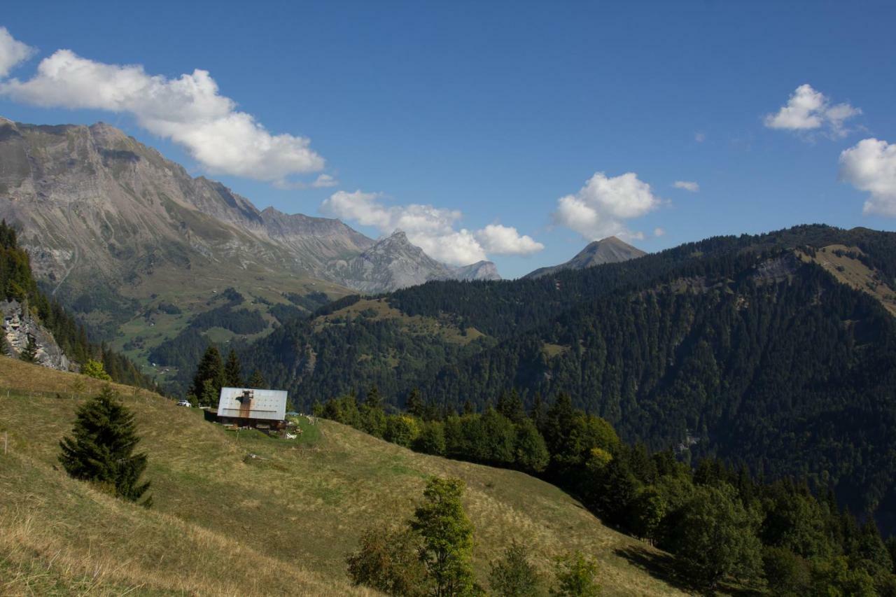 Reine Des Aravis - Chalet Isole 弗吕梅 外观 照片