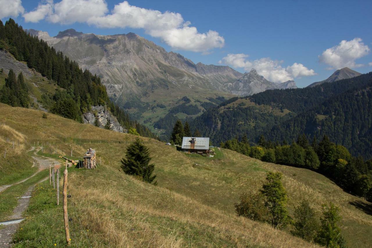 Reine Des Aravis - Chalet Isole 弗吕梅 外观 照片