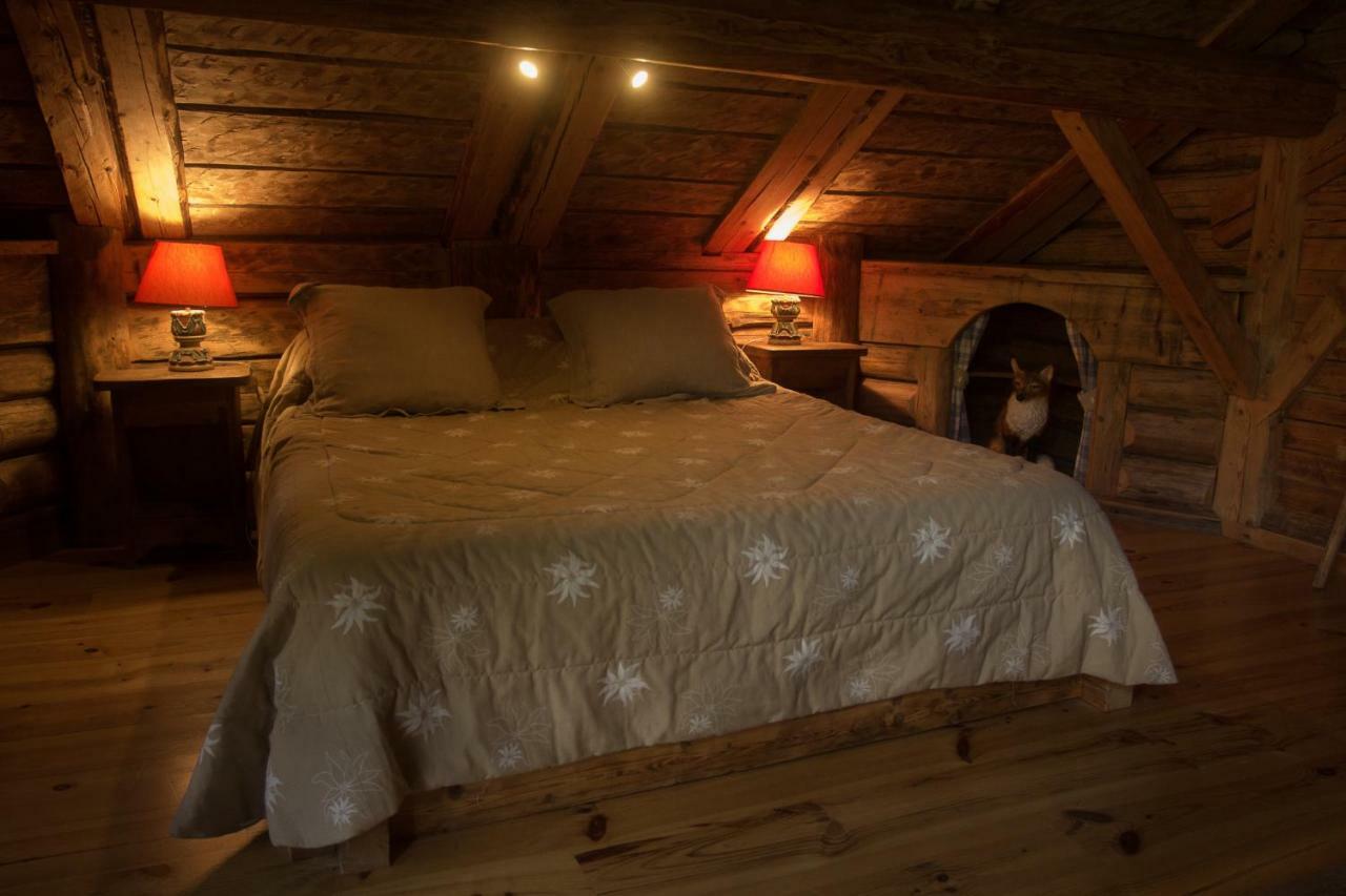 Reine Des Aravis - Chalet Isole 弗吕梅 外观 照片