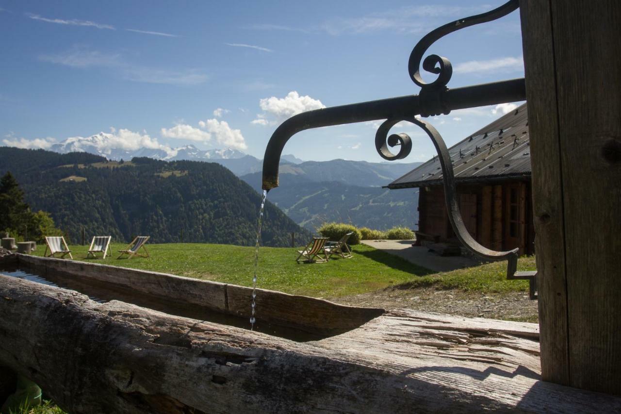 Reine Des Aravis - Chalet Isole 弗吕梅 外观 照片